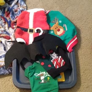 Cat Costumes